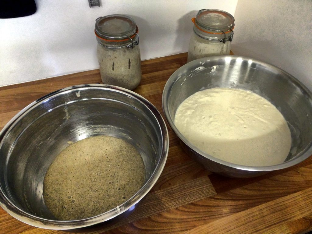 Sourdough Starters